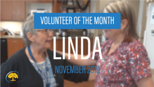 Volunteer of the Month November 2019 Ironwood Cancer & Research Centers