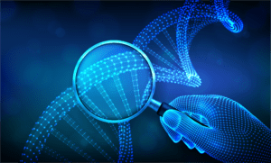 What is a genetic counselor