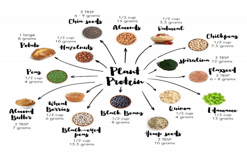 COMPLETING YOUR PLANT PROTEINS Ironwood Cancer & Research Centers
