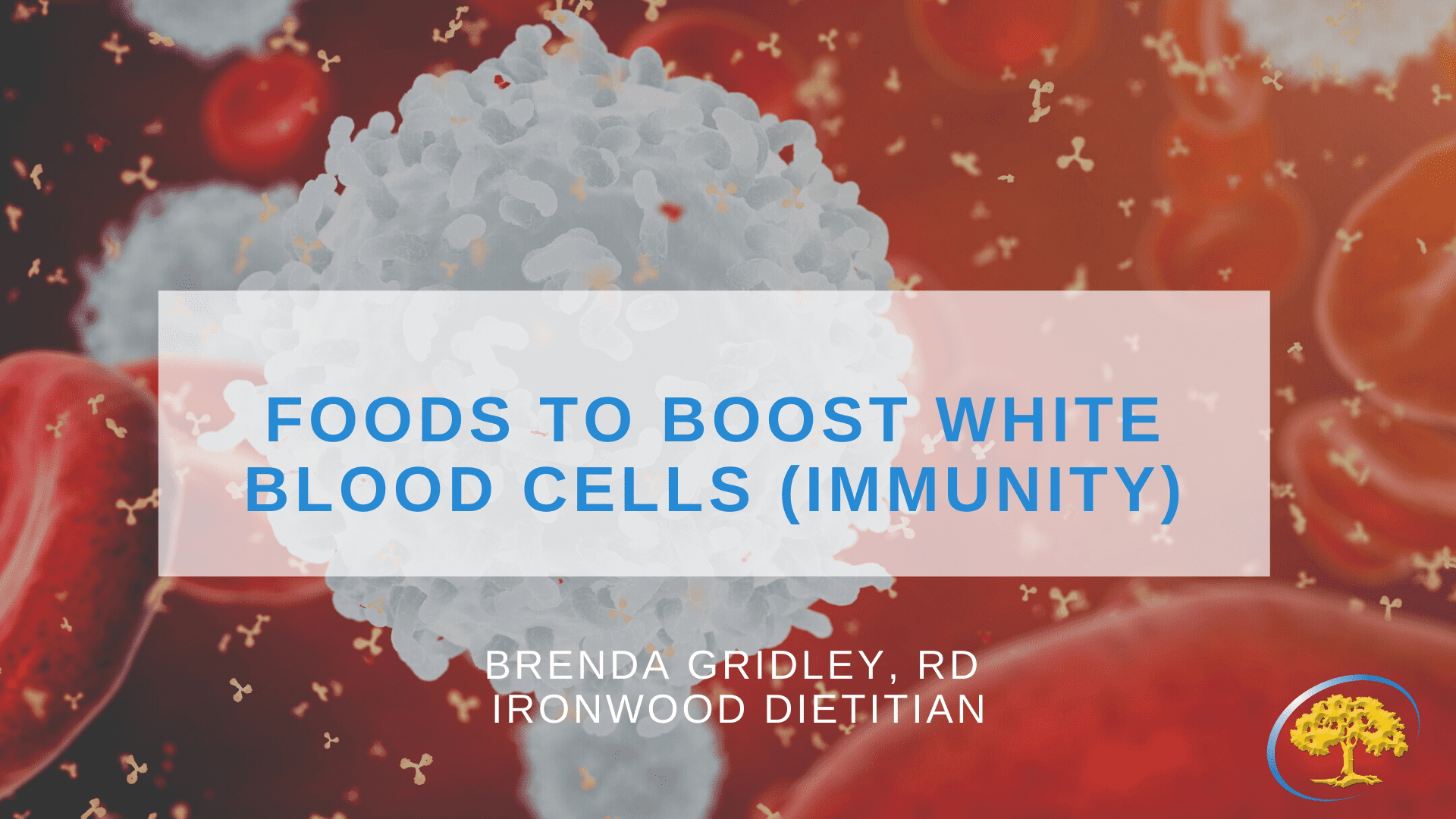 What Does A Low White Blood Cell Count Mean? The Answer Isn't Simple